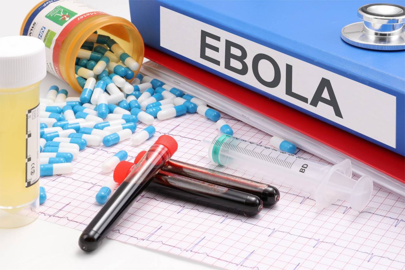 Ebola Bundibugyo: What the WHO Alert Reveals About Global Health, Borders and Mobility