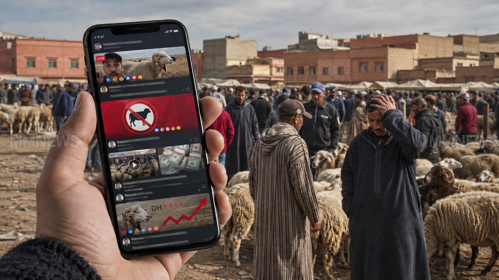 عيد الأضحى: بعد موجة الأسعار… أسئلة مفتوحة حول “وفرة” الخروف وقدرة المواطن على الشراء
