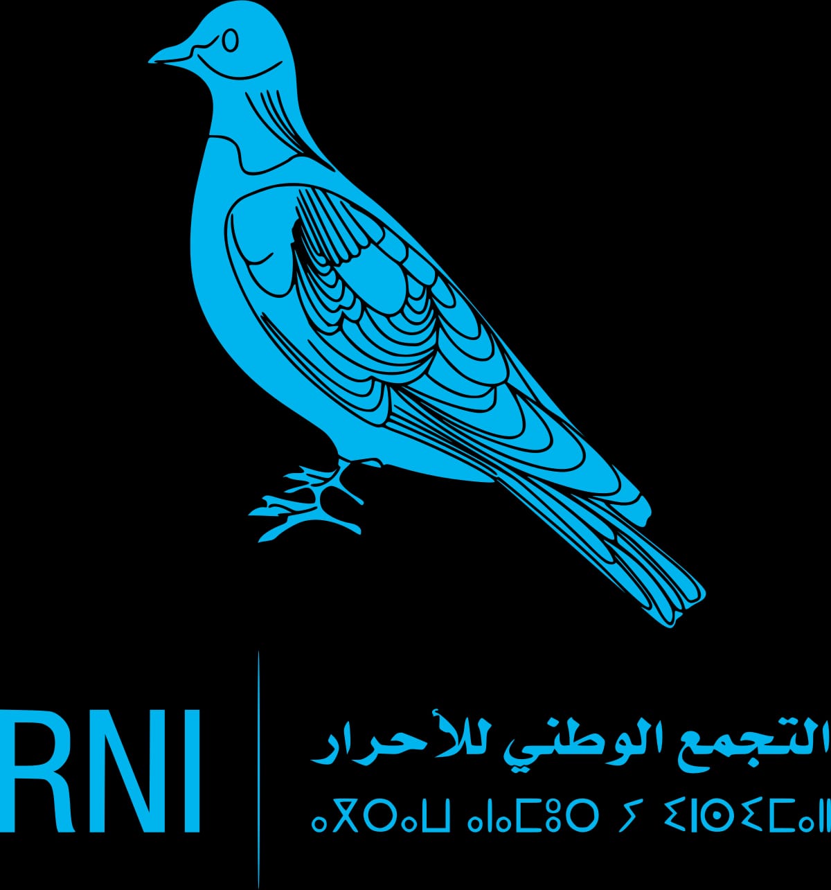 التجمع الوطني للأحرار ومغاربة العالم: حضور قوي في الاستثمار وغموض أكبر في الحقوق السياسية — تقييم MMNEWS: 41%